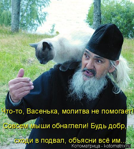 Что-то, Васенька, молитва не помогает! Совсем мыши обнаглели! Будь добр, сходи в подвал, объясни всё ... Котоматрица: Что-то, Васенька, молитва не помогает! Совсем мыши обнаглели! Будь добр, сходи в подвал, объясни всё им...