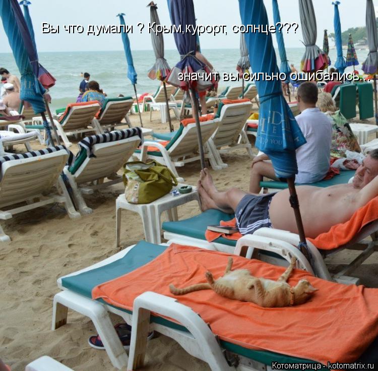 Вы что думали ? Крым,курорт, солнце??? значит вы сильно ошибались...... Котоматрица: Вы что думали ? Крым,курорт, солнце??? значит вы сильно ошибались...