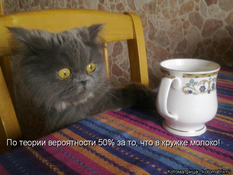 По теории вероятности 50% за то, что в кружке молоко!... Котоматрица: По теории вероятности 50% за то, что в кружке молоко!