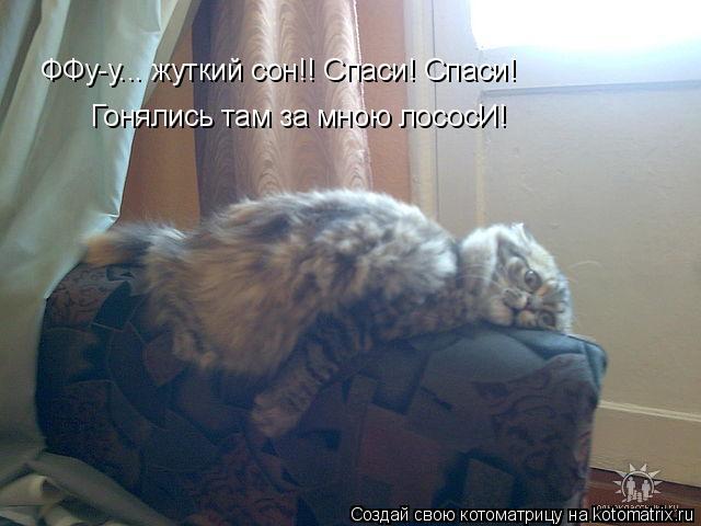 ФФу-у... жуткий сон!! Спаси! Спаси! Гонялись там за мною лососИ!... Котоматрица: ФФу-у... жуткий сон!! Спаси! Спаси! Гонялись там за мною лососИ!