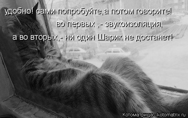 удобно! сами попробуйте,а потом говорите! а во вторых,- ни один Шарик не достанет! во первых ,- звуко... Котоматрица: удобно! сами попробуйте,а потом говорите! а во вторых,- ни один Шарик не достанет! во первых ,- звукоизоляция,