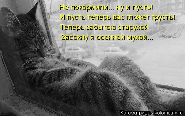 Не покормили... ну и пусть! И пусть теперь вас гложет грусть! Теперь забытою старухой Засохну я осенн... Котоматрица: Не покормили... ну и пусть! И пусть теперь вас гложет грусть! Теперь забытою старухой Засохну я осенней мухой...