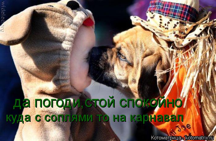да погоди,стой спокойно куда с соплями то на карнавал... Котоматрица: да погоди,стой спокойно куда с соплями то на карнавал