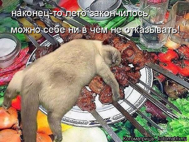наконец-то лето закончилось, можно себе ни в чём не отказывать!... Котоматрица: наконец-то лето закончилось, можно себе ни в чём не отказывать!