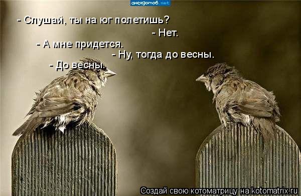 - Слушай, ты на юг полетишь? - Нет. - А мне придется. - Ну, тогда до весны. - До весны.... Котоматрица: - Слушай, ты на юг полетишь? - Нет. - А мне придется. - Ну, тогда до весны. - До весны.