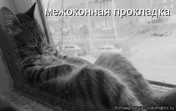 межоконная прокладка... Котоматрица: межоконная прокладка