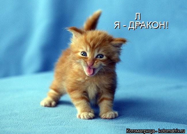 Я - ДРАКОН! Л --... Котоматрица: Я - ДРАКОН! Л --