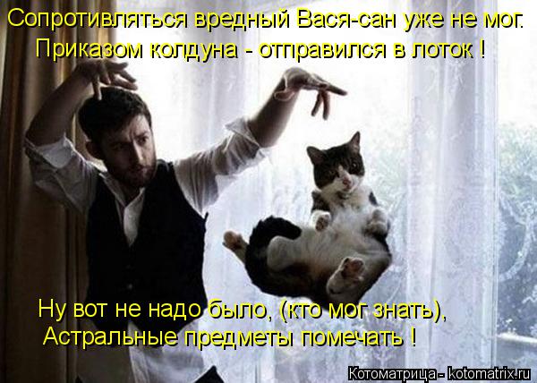 Сопротивляться вредный Вася-сан уже не мог. Приказом колдуна - отправился в лоток ! Ну вот не надо бы... Котоматрица: Сопротивляться вредный Вася-сан уже не мог. Приказом колдуна - отправился в лоток ! Ну вот не надо было, (кто мог знать), Астральные предметы п