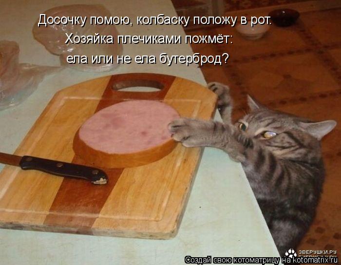 Досочку помою, колбаску положу в рот. Хозяйка плечиками пожмёт: ела или не ела бутерброд?... Котоматрица: Досочку помою, колбаску положу в рот. Хозяйка плечиками пожмёт: ела или не ела бутерброд?