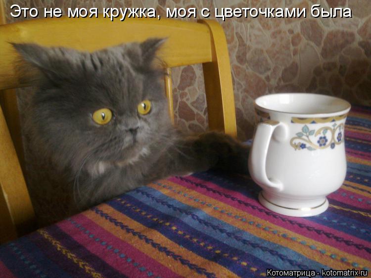 Это не моя кружка, моя с цветочками была... Котоматрица: Это не моя кружка, моя с цветочками была