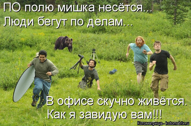 ПО полю мишка несётся... Люди бегут по делам... В офисе скучно живётся. Как я завидую вам!!!... Котоматрица: ПО полю мишка несётся... Люди бегут по делам... В офисе скучно живётся. Как я завидую вам!!!