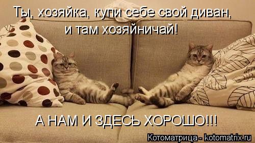Ты, хозяйка, купи себе свой диван, и там хозяйничай! А НАМ И ЗДЕСЬ ХОРОШО!!!... Котоматрица: Ты, хозяйка, купи себе свой диван, и там хозяйничай! А НАМ И ЗДЕСЬ ХОРОШО!!!