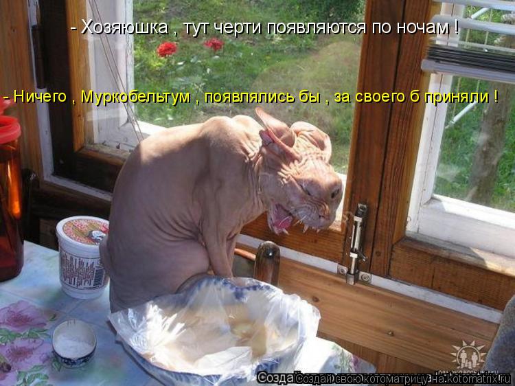 - Хозяюшка , тут черти появляются по ночам ! - Ничего , Муркобельтум , появлялись бы , за своего б пр... Котоматрица: - Хозяюшка , тут черти появляются по ночам ! - Ничего , Муркобельтум , появлялись бы , за своего б приняли !