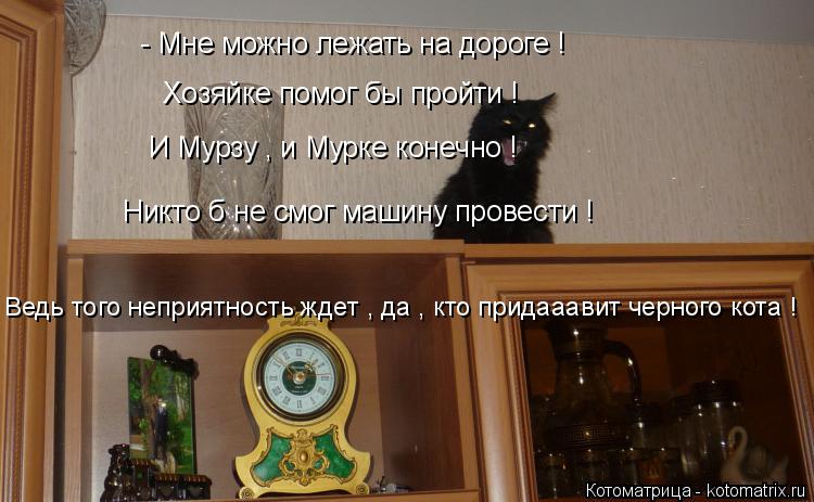 - Мне можно лежать на дороге ! Хозяйке помог бы пройти ! И Мурзу , и Мурке конечно ! Никто б не смог... Котоматрица: - Мне можно лежать на дороге ! Хозяйке помог бы пройти ! И Мурзу , и Мурке конечно ! Никто б не смог машину провести ! Ведь того неприятность жд