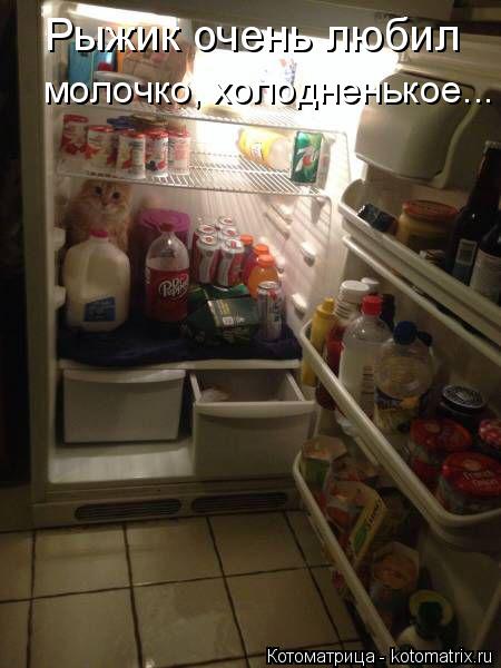 Рыжик очень любил молочко, холодненькое...... Котоматрица: Рыжик очень любил молочко, холодненькое...
