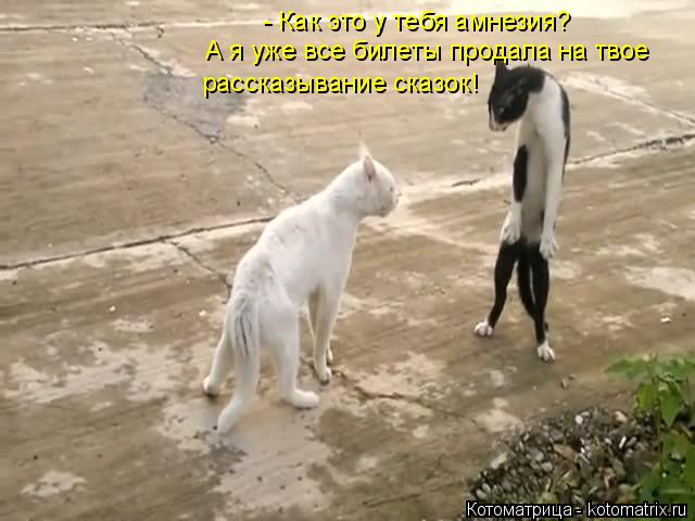 - Как это у тебя амнезия? А я уже все билеты продала на твое рассказывание сказок!... Котоматрица: - Как это у тебя амнезия? А я уже все билеты продала на твое рассказывание сказок!