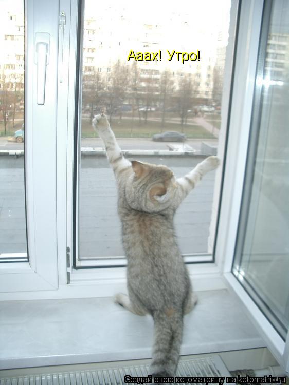 Ааах! Утро!... Котоматрица: Ааах! Утро!