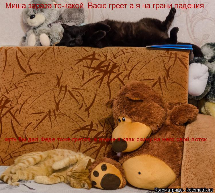 Миша зараза то-какой. Васю греет а я на грани падения хоть бы дал Феде тоже грется, а иначе я каак ск... Котоматрица: Миша зараза то-какой. Васю греет а я на грани падения хоть бы дал Феде тоже грется, а иначе я каак скину на него свой лоток