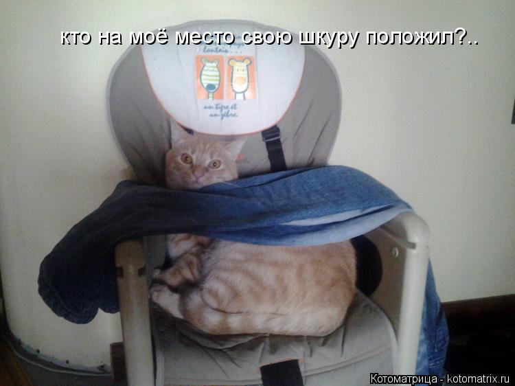 кто на моё место свою шкуру положил?..... Котоматрица: кто на моё место свою шкуру положил?..