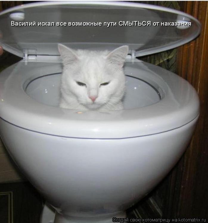 Василий искал все возможные пути СМЫТЬСЯ от наказания... Котоматрица: Василий искал все возможные пути СМЫТЬСЯ от наказания