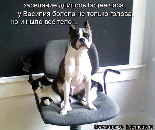 заседание длилось более часа, у Василия болела не только голова, но и ныло всё тело...... Котоматрица: заседание длилось более часа, у Василия болела не только голова, но и ныло всё тело...