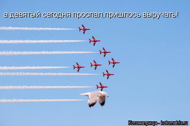 а девятый сегодня проспал,пришлось выручать!... Котоматрица: а девятый сегодня проспал,пришлось выручать!