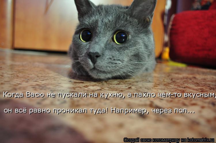 Когда Васю не пускали на кухню, а пахло чем-то вкусным, он всё равно проникал туда! Например, через п... Котоматрица: Когда Васю не пускали на кухню, а пахло чем-то вкусным, он всё равно проникал туда! Например, через пол...