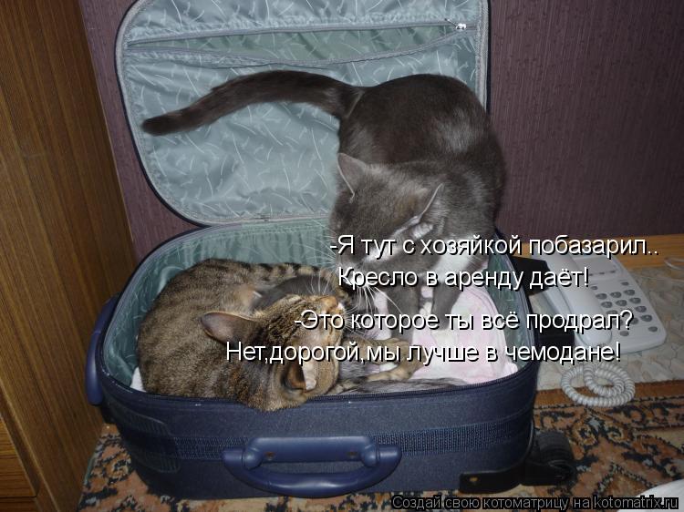 -Я тут с хозяйкой побазарил.. Кресло в аренду даёт! -Это которое ты всё продрал? Нет,дорогой,мы лучше... Котоматрица: -Я тут с хозяйкой побазарил.. Кресло в аренду даёт! -Это которое ты всё продрал? Нет,дорогой,мы лучше в чемодане!
