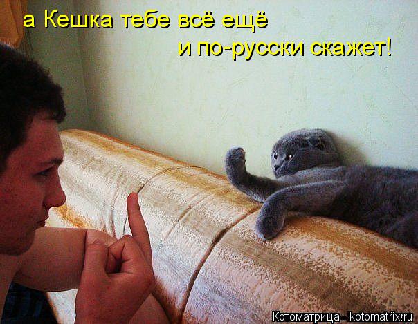а Кешка тебе всё ещё и по-русски скажет!... Котоматрица: а Кешка тебе всё ещё и по-русски скажет!