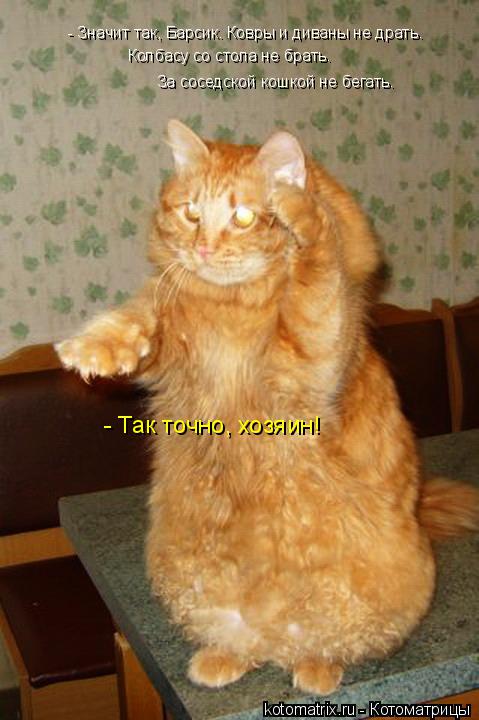 - Значит так, Барсик. Ковры и диваны не драть. Колбасу со стола не брать. За соседской кошкой не бе... Котоматрица: - Значит так, Барсик. Ковры и диваны не драть. Колбасу со стола не брать. За соседской кошкой не бегать. - Так точно, хозяин!
