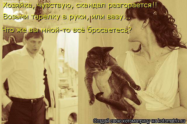Возьми тарелку в руки, или вазу... Что же вы мной-то всё бросаетесь? Хозяйка, чувствую, скандал разго... Котоматрица: Возьми тарелку в руки, или вазу... Что же вы мной-то всё бросаетесь? Хозяйка, чувствую, скандал разгорается!!
