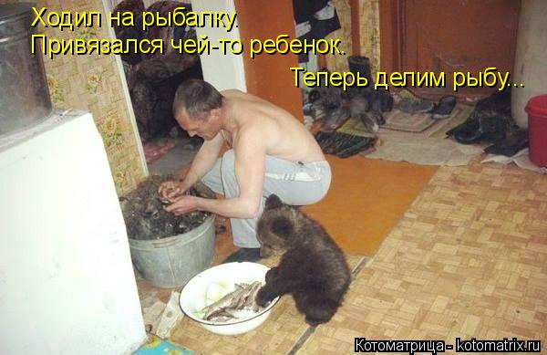Ходил на рыбалку. Привязался чей-то ребенок. Теперь делим рыбу...... Котоматрица: Ходил на рыбалку. Привязался чей-то ребенок. Теперь делим рыбу...