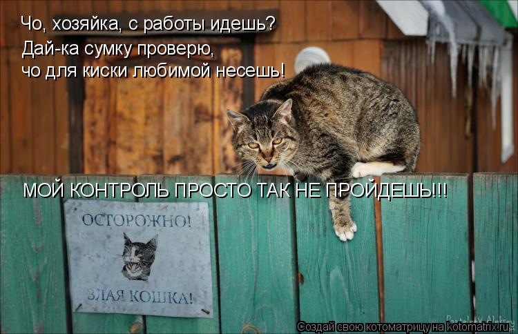 Чо, хозяйка, с работы идешь? Дай-ка сумку проверю, чо для киски любимой несешь! МОЙ КОНТРОЛЬ ПРОСТО... Котоматрица: Чо, хозяйка, с работы идешь? Дай-ка сумку проверю, чо для киски любимой несешь! МОЙ КОНТРОЛЬ ПРОСТО ТАК НЕ ПРОЙДЕШЬ!!!