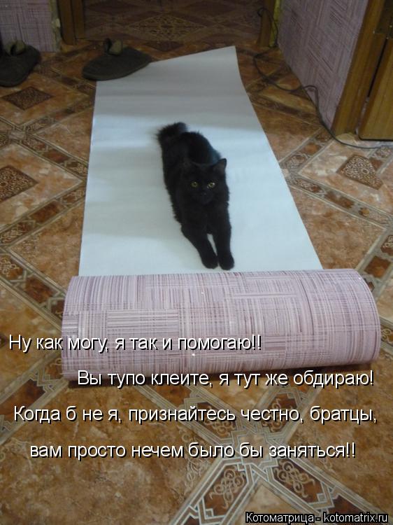 Ну как могу, я так и помогаю!! Вы тупо клеите, я тут же обдираю! Когда б не я, признайтесь честно, бр... Котоматрица: Ну как могу, я так и помогаю!! Вы тупо клеите, я тут же обдираю! Когда б не я, признайтесь честно, братцы, вам просто нечем было бы заняться!!