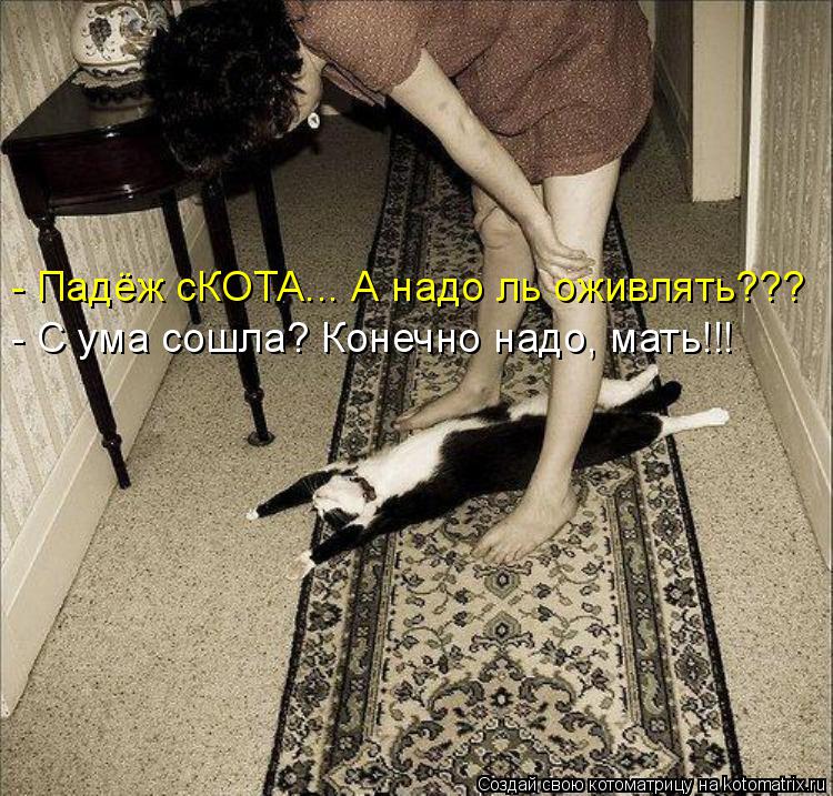 - Падёж сКОТА... А надо ль оживлять??? - С ума сошла? Конечно надо, мать!!!... Котоматрица: - Падёж сКОТА... А надо ль оживлять??? - С ума сошла? Конечно надо, мать!!!