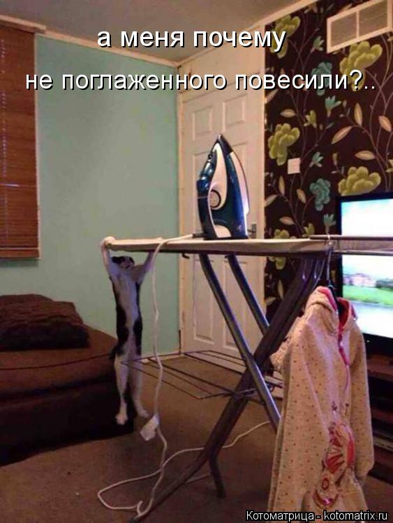 а меня почему не поглаженного повесили?..... Котоматрица: а меня почему не поглаженного повесили?..