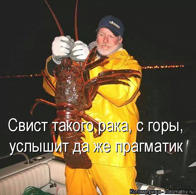 Свист такого рака, с горы, услышит да же прагматик... Котоматрица: Свист такого рака, с горы, услышит да же прагматик