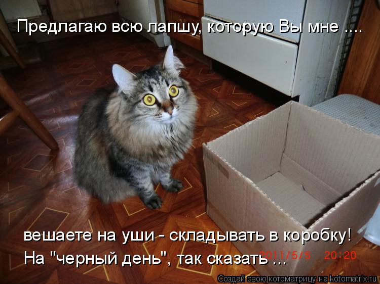 Предлагаю всю лапшу, которую Вы мне .... вешаете на уши - складывать в коробку! На "черный день", так... Котоматрица: Предлагаю всю лапшу, которую Вы мне .... вешаете на уши - складывать в коробку! На "черный день", так сказать ...