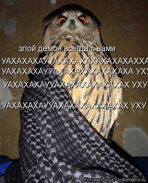 злой демон всегда с вами УАХАХАХАУУАХАХАХАХАХАХАХАХХА УАХАХАХАУУАХАХАХАХАХАХАХА УХУ УАХАХАХАУУАХАХАХА... Котоматрица: злой демон всегда с вами УАХАХАХАУУАХАХАХАХАХАХАХАХХА УАХАХАХАУУАХАХАХАХАХАХАХА УХУ УАХАХАХАУУАХАХАХАХАХАХАХ УХУ УАХАХАХАУУАХАХАХАХА