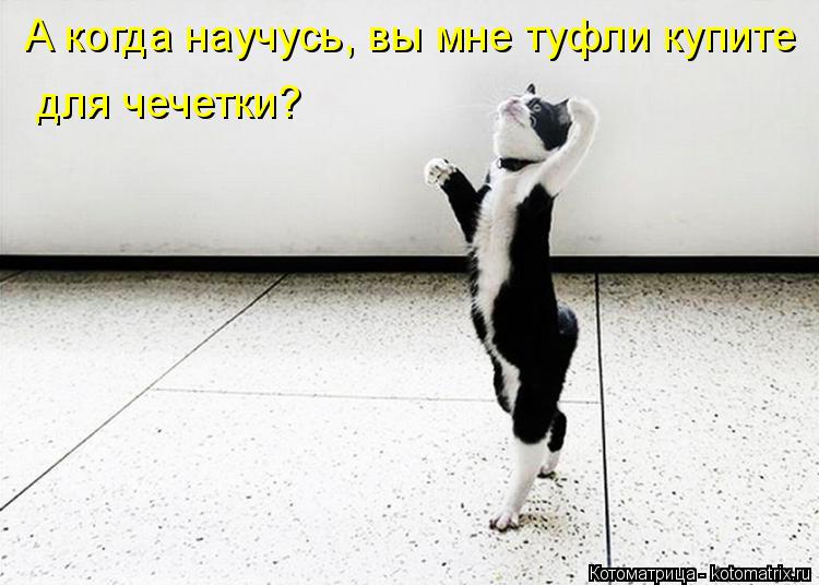 А когда научусь, вы мне туфли купите для чечетки?... Котоматрица: А когда научусь, вы мне туфли купите для чечетки?