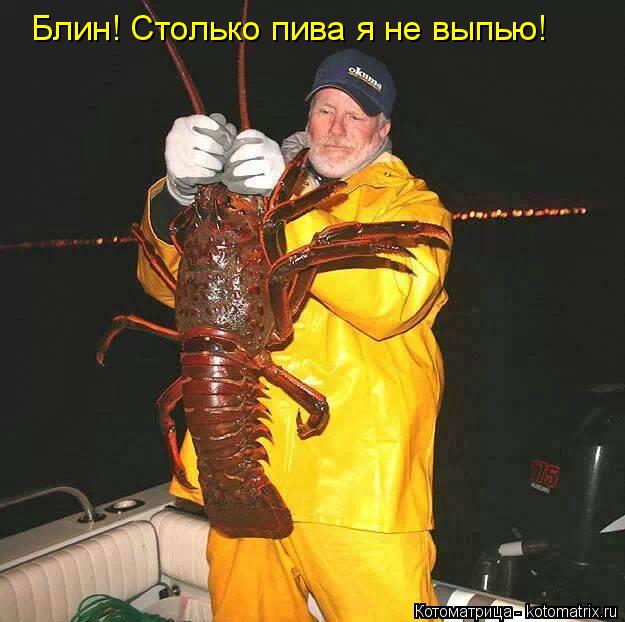 Блин! Столько пива я не выпью!... Котоматрица: Блин! Столько пива я не выпью!
