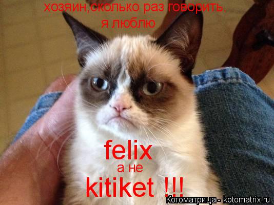 я люблю felix а не хозяин,сколько раз говорить. kitiket !!!... Котоматрица: я люблю felix а не хозяин,сколько раз говорить. kitiket !!!