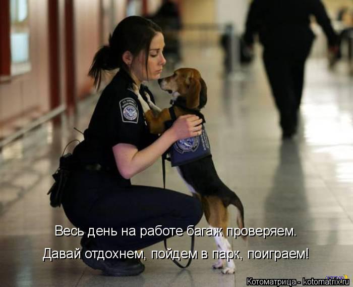 Весь день на работе багаж проверяем. Давай отдохнем, пойдем в парк, поиграем!... Котоматрица: Весь день на работе багаж проверяем. Давай отдохнем, пойдем в парк, поиграем!