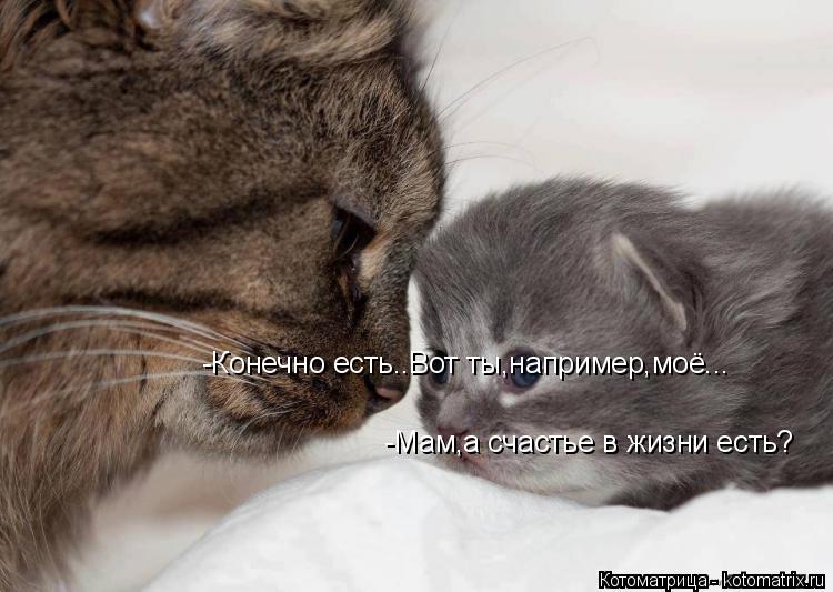 -Мам,а счастье в жизни есть? -Конечно есть..Вот ты,например,моё...... Котоматрица: -Мам,а счастье в жизни есть? -Конечно есть..Вот ты,например,моё...