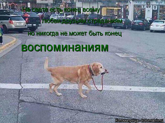 На свете есть конец всему любви,друзьям,страданиям но никогда не может быть конец воспоминаниям... Котоматрица: На свете есть конец всему любви,друзьям,страданиям но никогда не может быть конец воспоминаниям