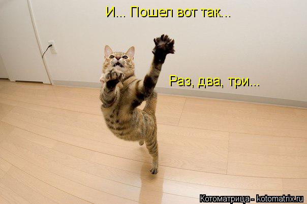И... Пошел вот так... Раз, два, три...... Котоматрица: И... Пошел вот так... Раз, два, три...