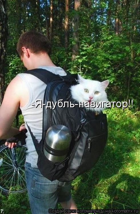 -Я-дубль-навигатор!!... Котоматрица: -Я-дубль-навигатор!!