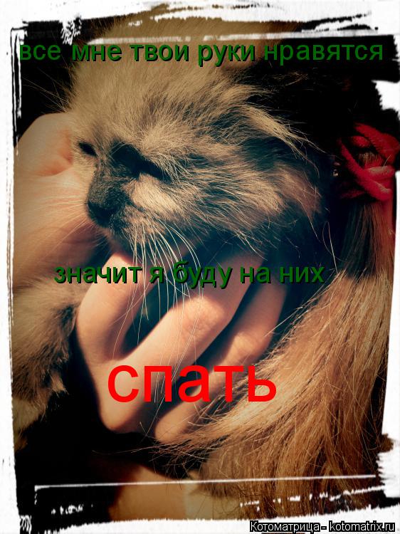 все мне твои руки нравятся значит я буду на них спать... Котоматрица: все мне твои руки нравятся значит я буду на них спать