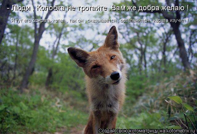 - Люди , Колобка не трогайте .Вам же добра желаю ! Я тут его сожрать хотел , так он , оказывается , о... Котоматрица: - Люди , Колобка не трогайте .Вам же добра желаю ! Я тут его сожрать хотел , так он , оказывается , остепенился , каратэ изучил !