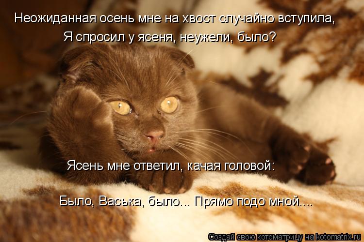 Неожиданная осень мне на хвост случайно вступила, Я спросил у ясеня, неужели, было? Ясень мне ответил... Котоматрица: Неожиданная осень мне на хвост случайно вступила, Я спросил у ясеня, неужели, было? Ясень мне ответил, качая головой: Было, Васька, было... Пря